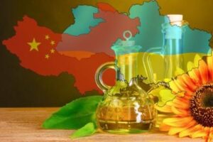 Зона вільної торгівлі між Україною та Китаєм: можливості та ризики